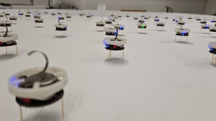 Several dozen small plastic discs containing electronics and perched on metal wire legs are spread across a smooth featureless surface