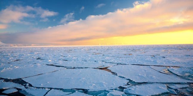 Understanding the Arctic polar vortex