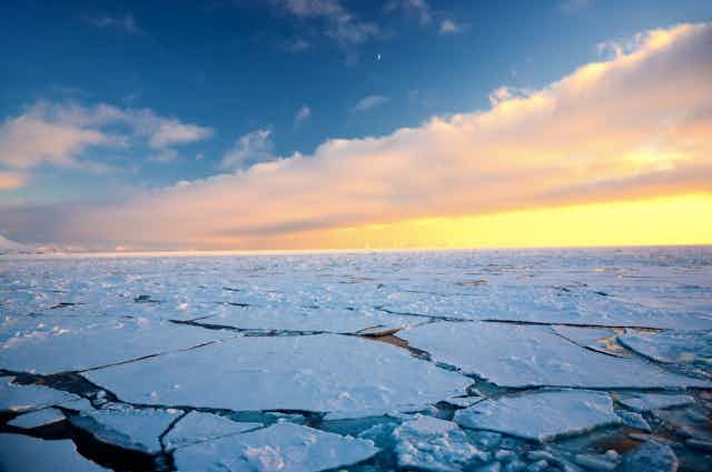 A vast expanse of sea ice.
