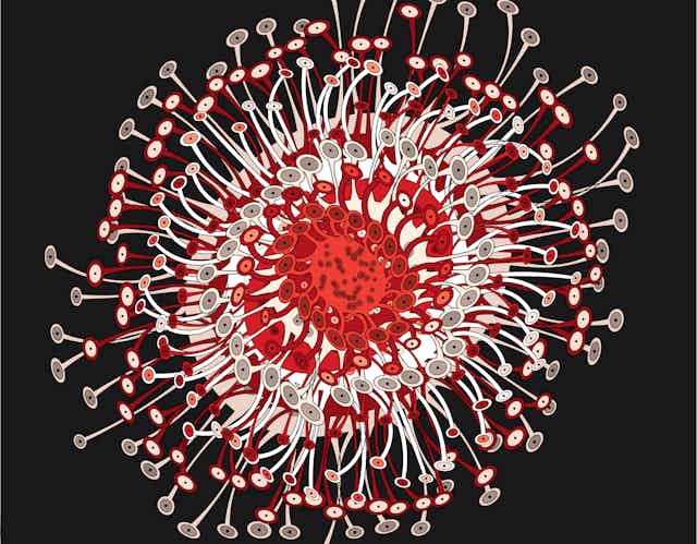 Stylized illustration of a coronavirus