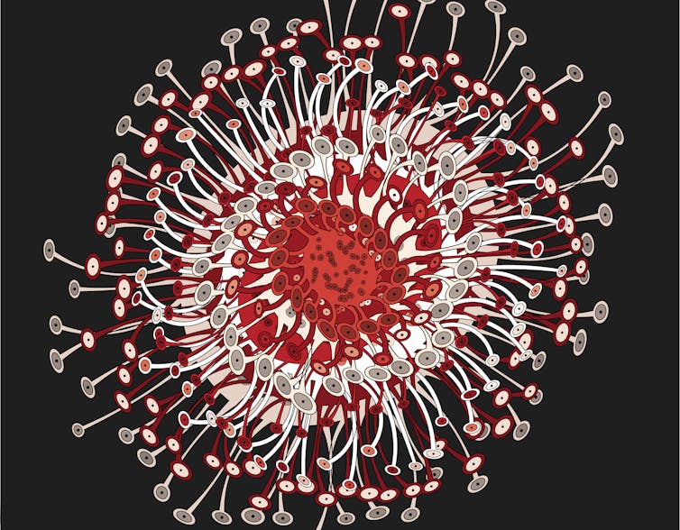 Stylized image of a coronavirus