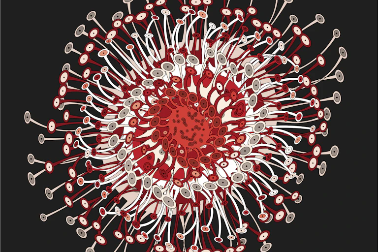 Stylized illustration of a coronavirus
