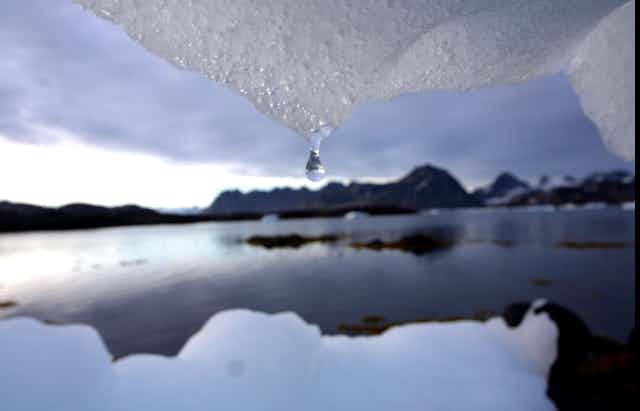 water drips from ice into a bay in Greenland.