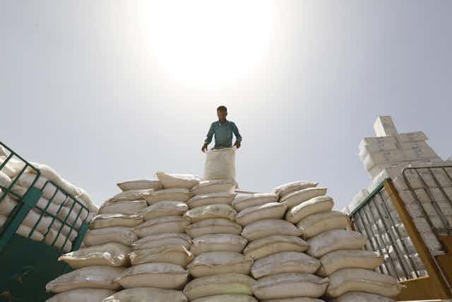 A humanitarian worker sorts food bags