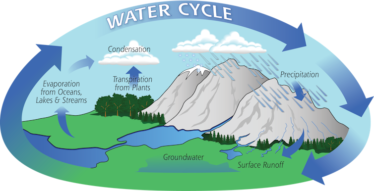 An illustration showing how water cycles through precipitation, runoff, groundwater, plants, evaporation and condensation to fall again.