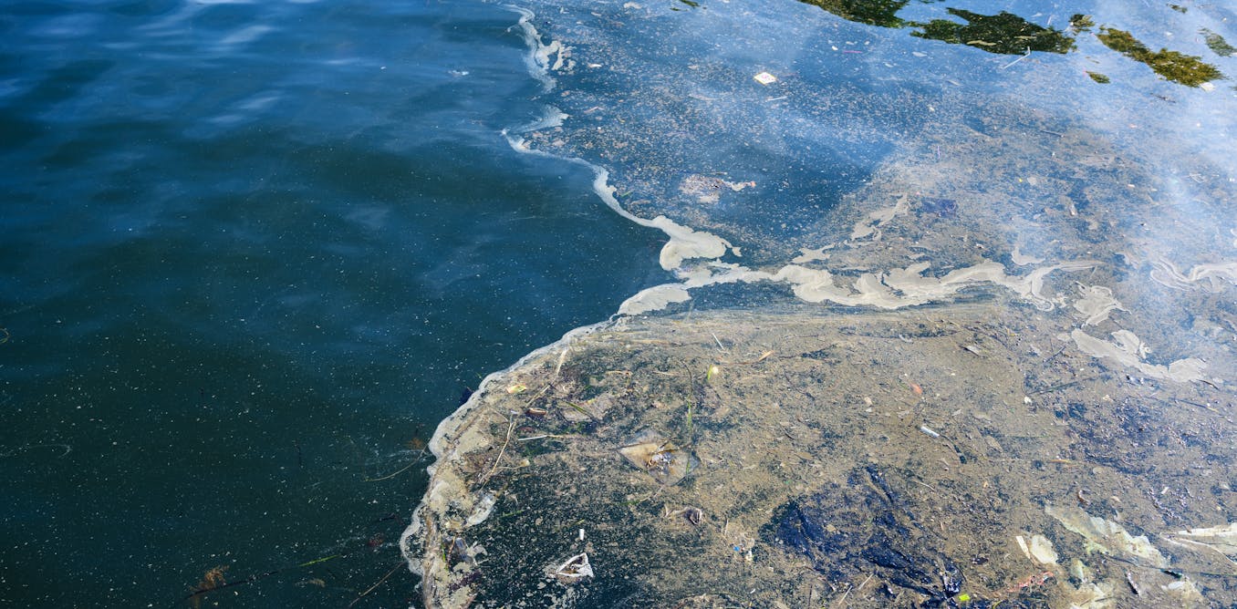 Así seguimos la pista a los contaminantes emergentes