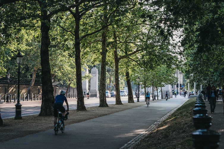 People on bikes travelling on a tree-lined cycle path.