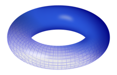 Torus diagram