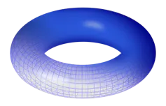 Torus diagram