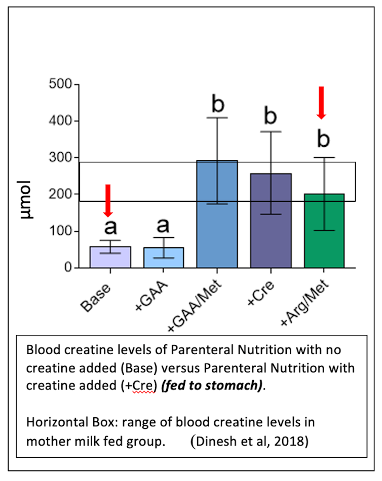Bar graph showing different approaches to raising creatine levels in piglets