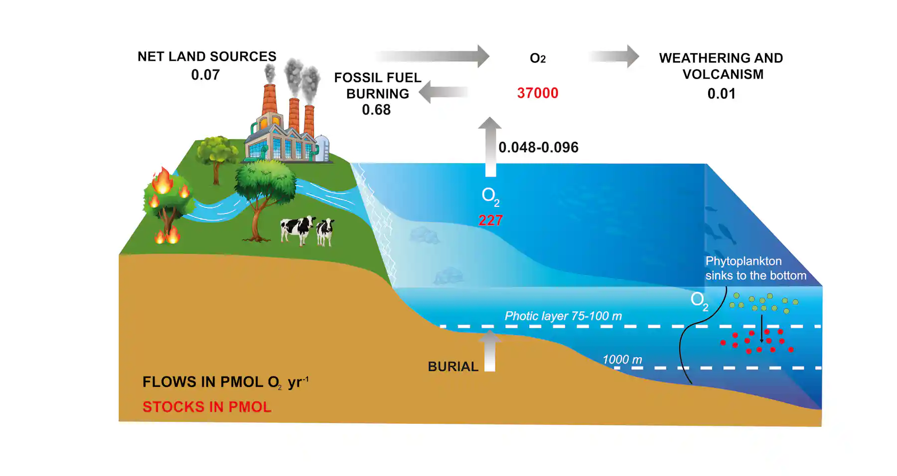 O2 Production By Source Graph Humans will always have oxygen to breathe, but we can’t say the same ...