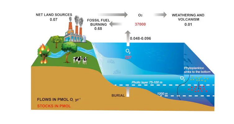 Figure legend. Oxygen budget for the period 1960-2014 (redrawn from Grégoire et al., 2019)
