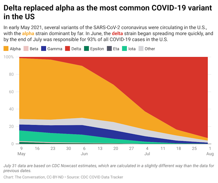 A chart visualizing how common different COVID-19 variants have been from May to August 2021.