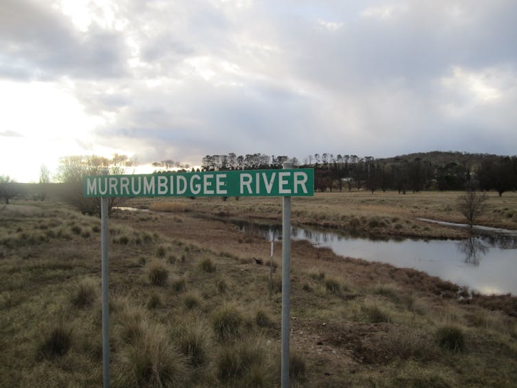 The Murrumbidgee River's wet season height has dropped by 30% since the 1990s — and the outlook is bleak