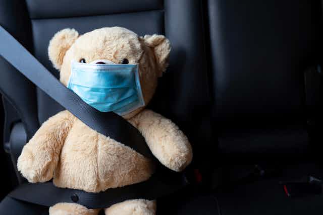 Teddy wearing mask and seatbelt in car