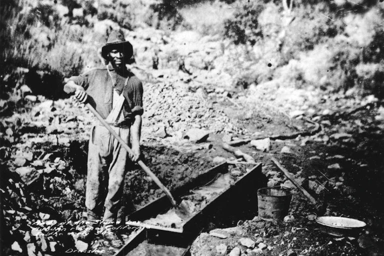 View of African American gold miner holding a shovel at sluice box.v