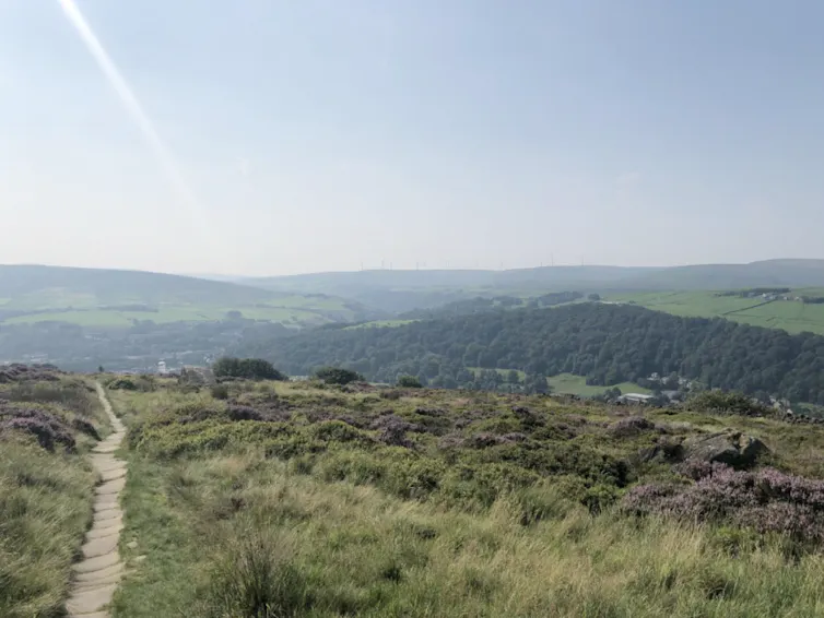 Landscape of rolling hills covered with woods and fields