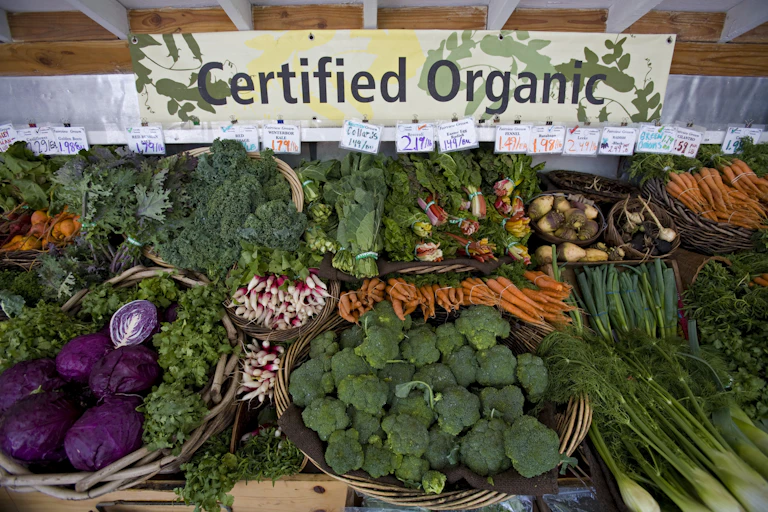 Produce for sale, marked "Certified Organic"