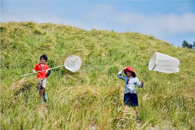 children hold butterfly nets on grassy hill