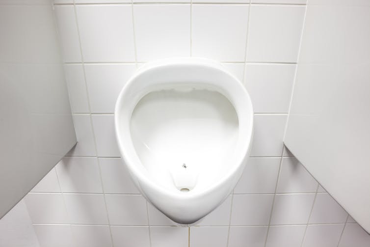 A fly on a urinal.
