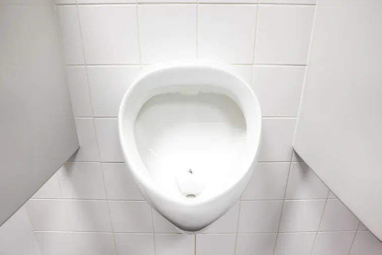A fly on a urinal.