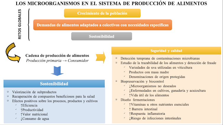 ¿Pueden los microorganismos ayudarnos a alimentar mejor a la población mundial?