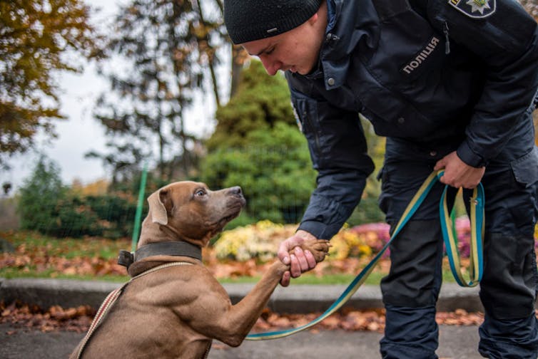 A man shaking a dog's paw on World Animal Day in Kyiv, Ukraine, in 2017.