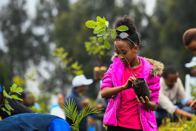 A girl holds a tree sapling and looks ready to plant it.