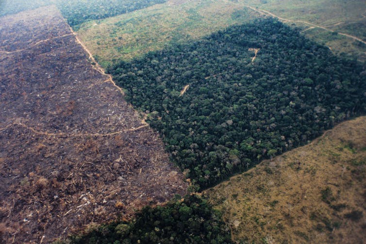 Aerial view of patchwork deforestation of rainforest.