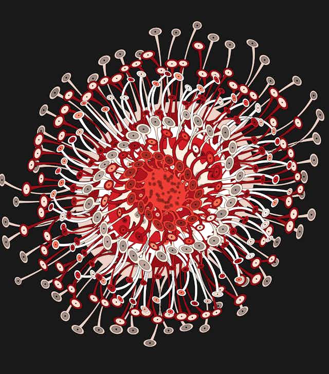 Illustration stylisée d'un coronavirus
