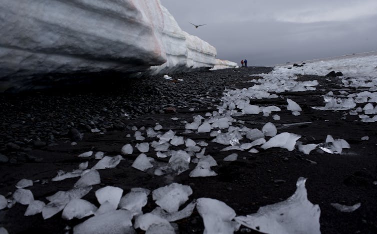 thawed ice along Antarctic shoreline