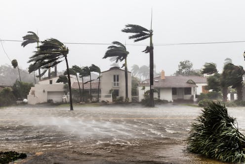 Forget massive seawalls, coastal wetlands offer the best storm protection money can buy