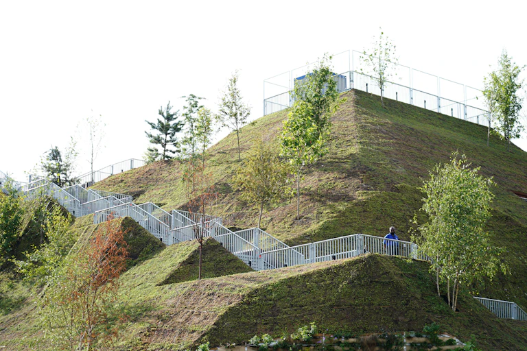 Grassy hill with trees.