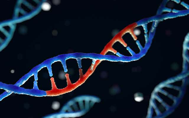 Genetic engineering and gene manipulation concept, 3d rendering