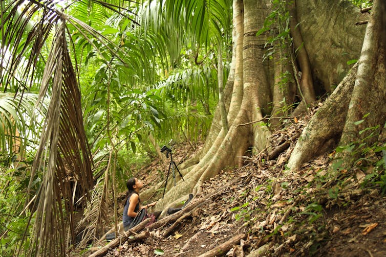 woman kneels behind video camera pointed at tree in tropical environment