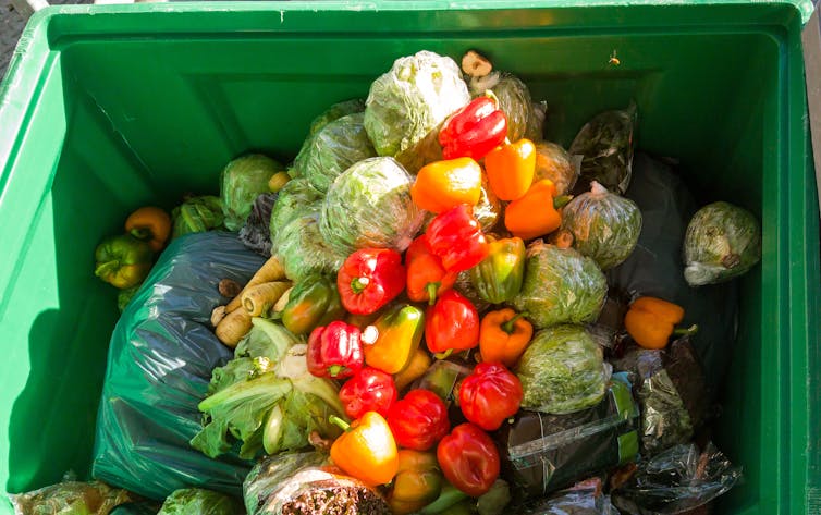 Peppers, cabbage, cauliflower, parsnips, lettuce in rubbish bin.