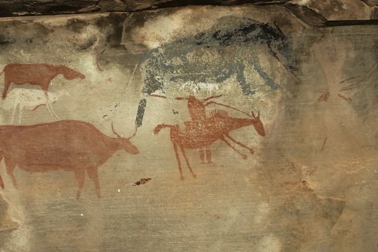 Rock art paintings of four animals, one a horse with the figure of a rider on the horse, holding a gun.