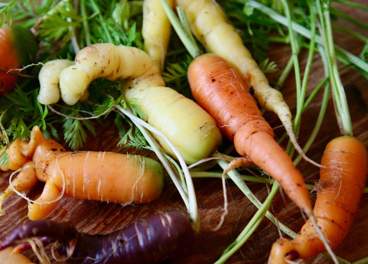 A selection of wonky vegetables.