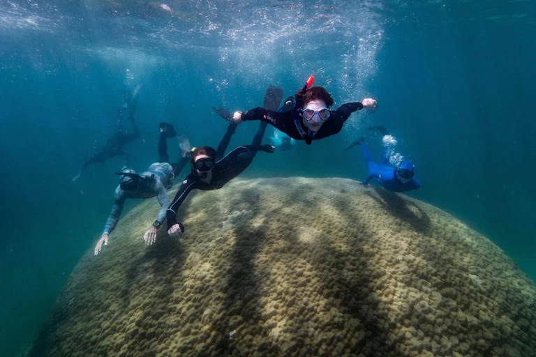 snorkellers swim over large coral