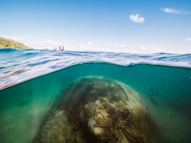 coral rock under water with sky