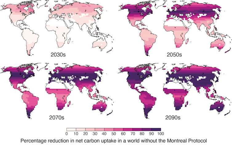 Four different world maps depicting declines in carbon uptake by plants across the 21st century.