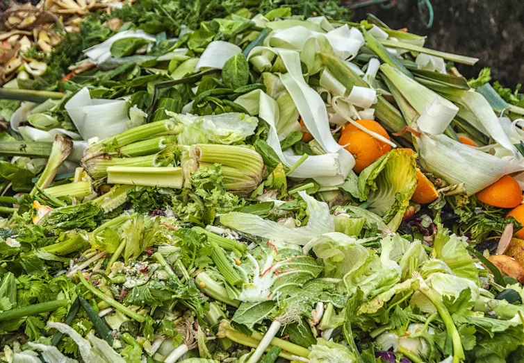 We throw away a third of the food we grow We throw away a third of the food we grow