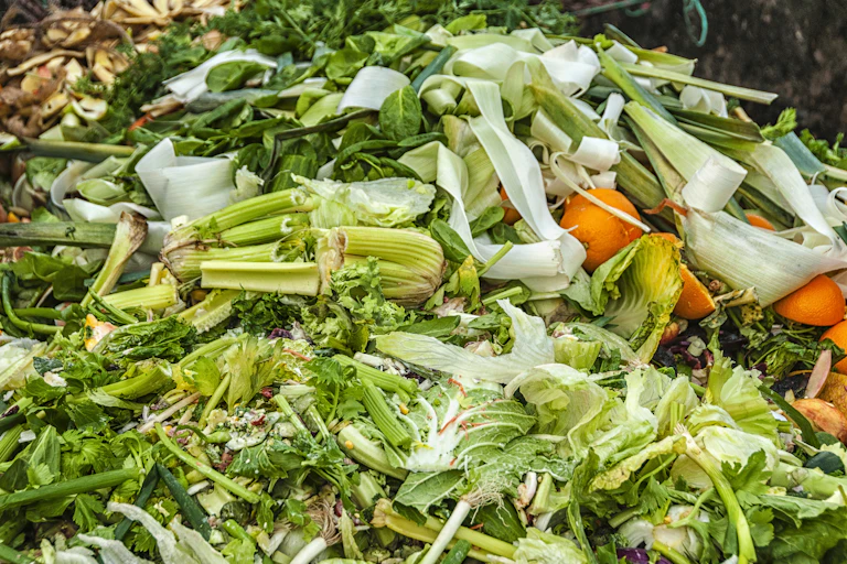 Waste food in landfill.