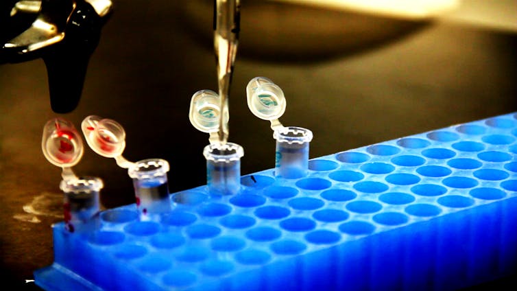 Small glass vials sitting in a blue vial holder.