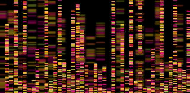 Genomic barcode image
