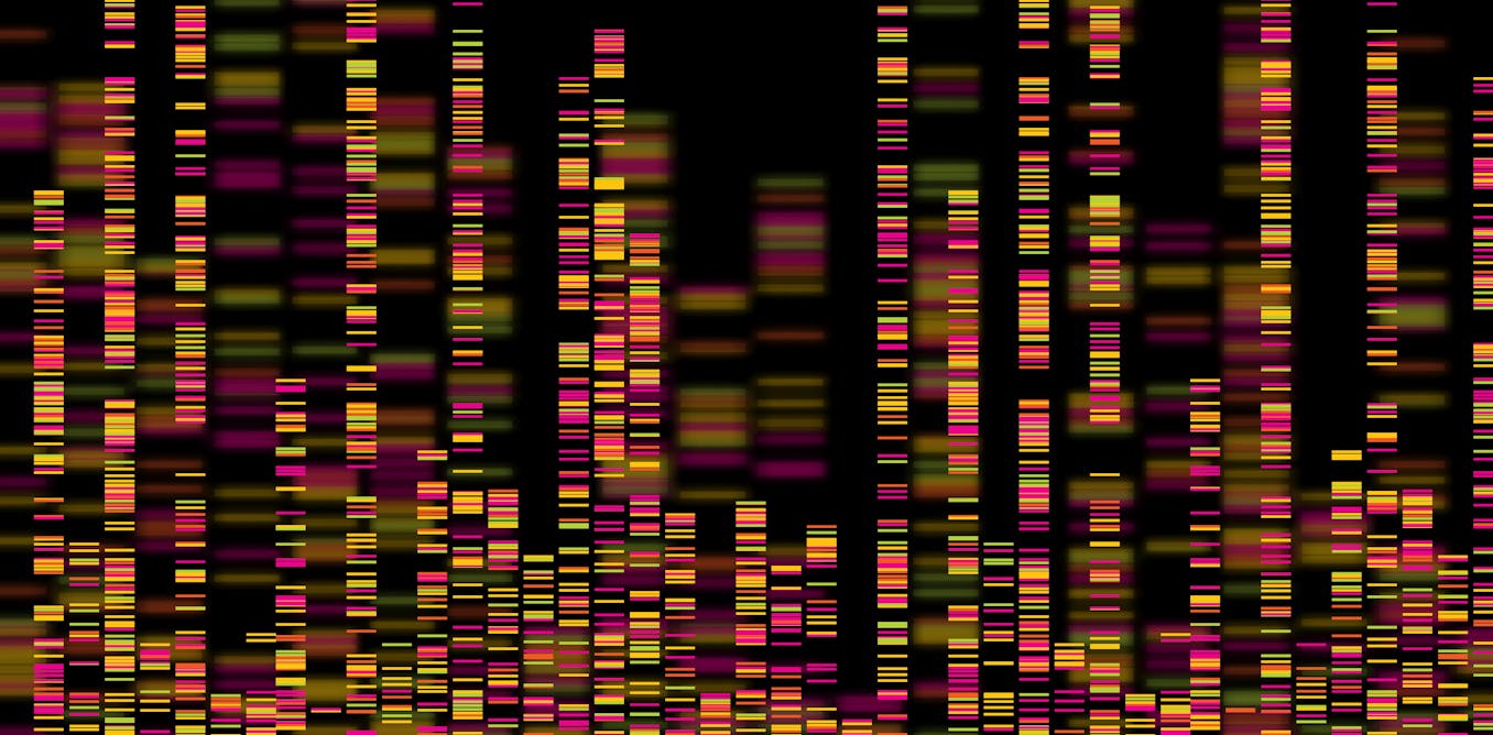 Why Rapid Genome Sequencing Is Key To Finding Out How Long Delta Has Been In Nz And How Large This Outbreak Might Be Why Rapid Genome Sequencing Is Key To Finding Out How Long Delta Has Been In Nz And How Large This Outbreak Might Be