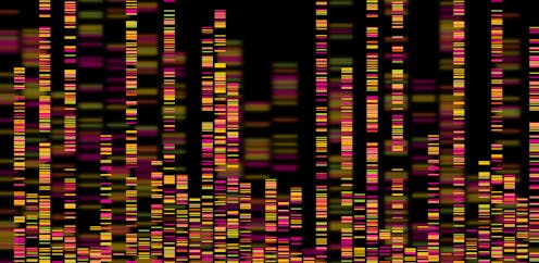 Why rapid genome sequencing is key to finding out how long Delta has been in NZ, and how large this outbreak might be