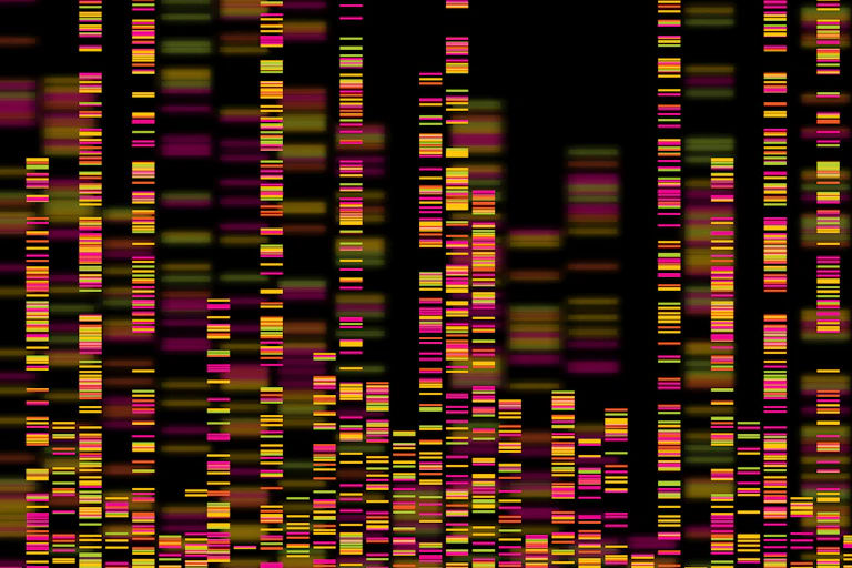 Genomic barcode image