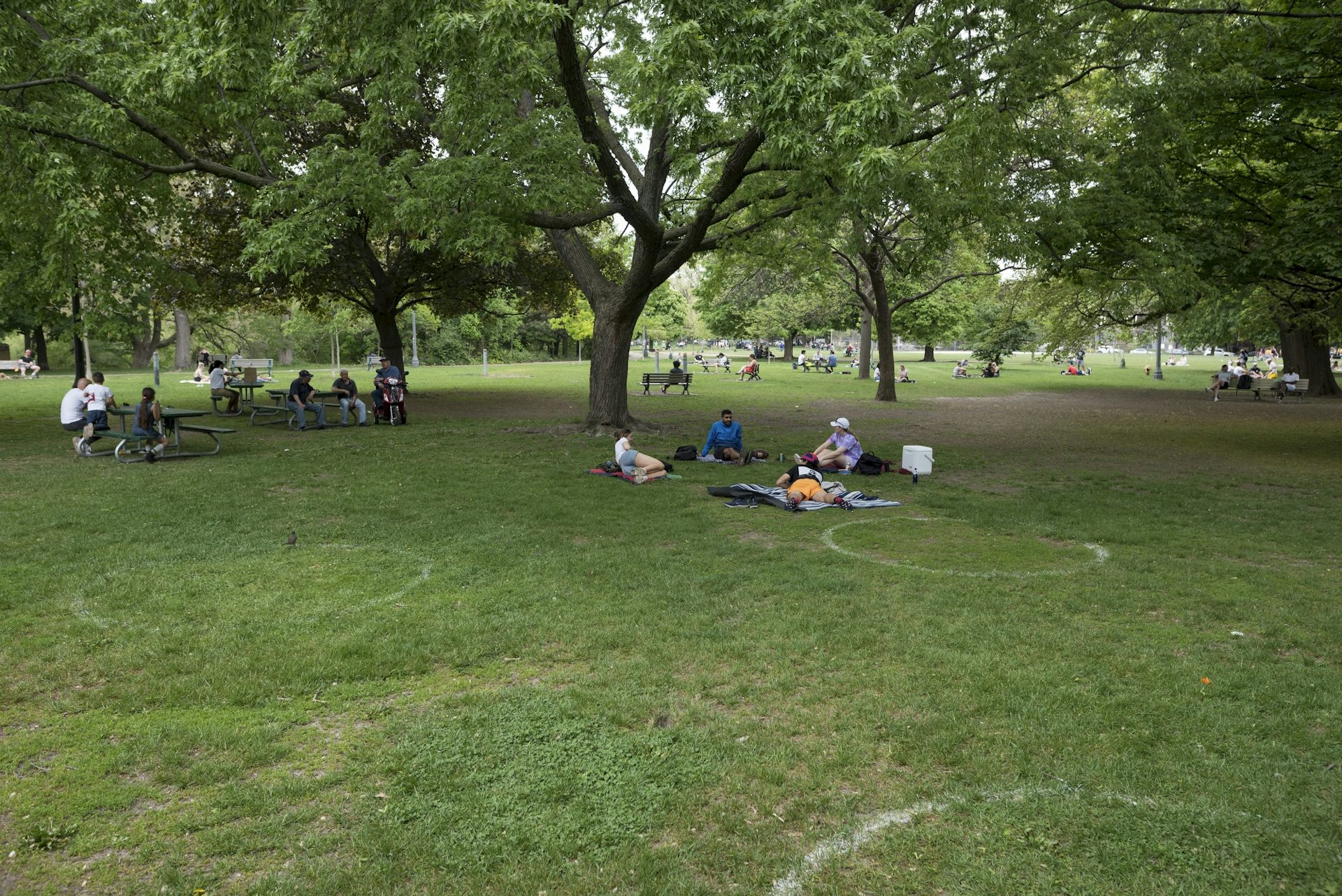 People sit amid unoccupied physical distancing circles at a park