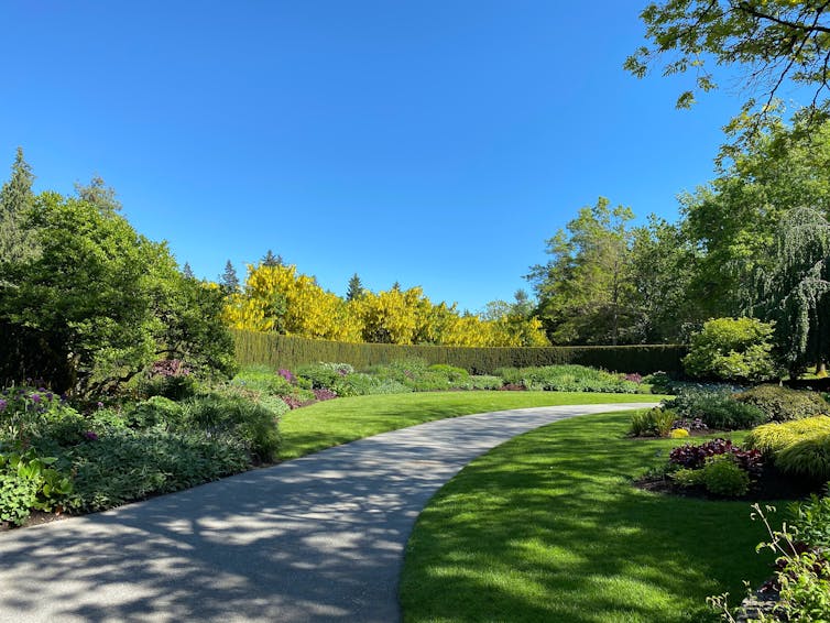 Lush park, cloudless blue sky with tall hedges, flowers, shrubs and perfectly manicured lawn